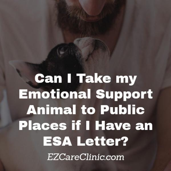 Are Emotional Support Animals Allowed in Public Places? EZCare Clinic
