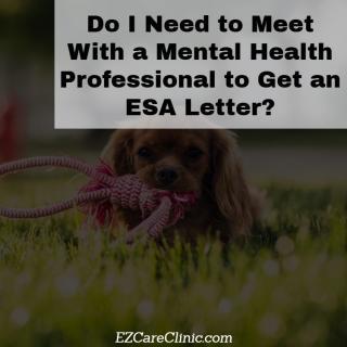 Do I Need to Meet With a Mental Health Professional to Get an ESA Letter