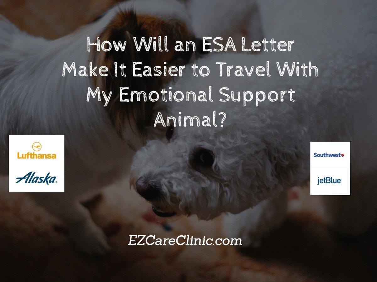 Travel With My Emotional Support Animal - Airlines Pet Policy