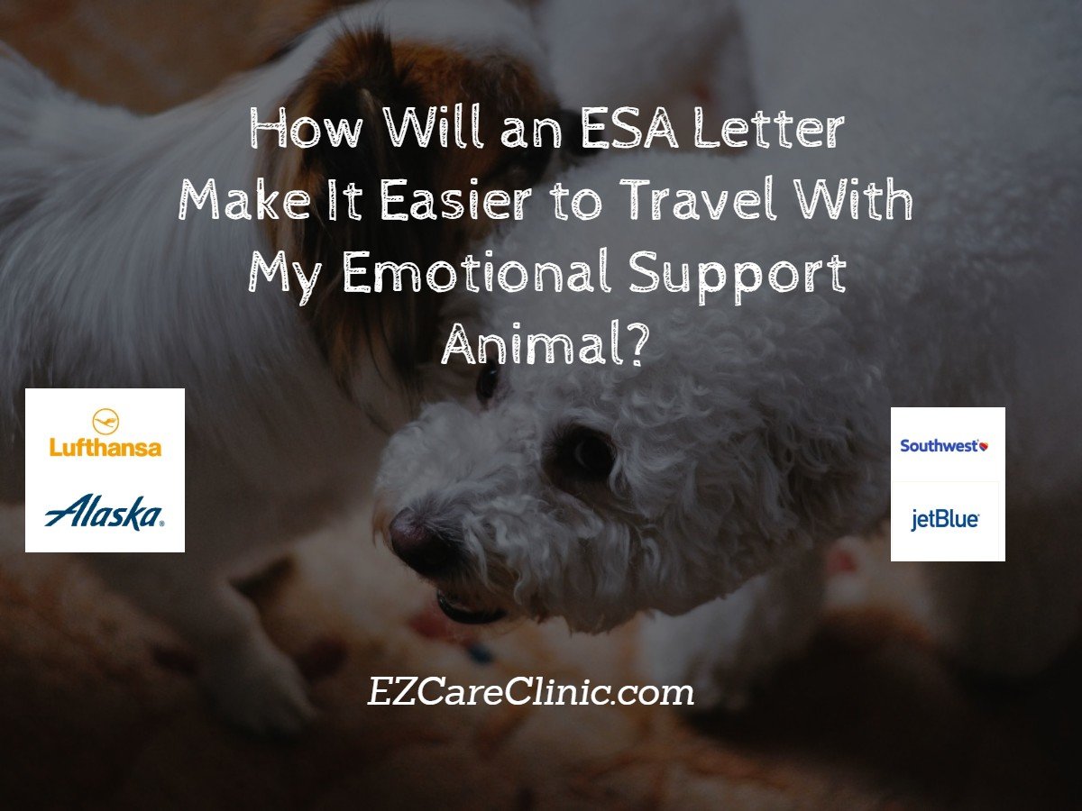 Travel With My Emotional Support Animal Airlines Pet Policy