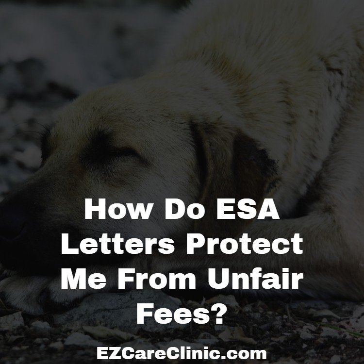 How Do ESA Letters Protect Me From Unfair Fees