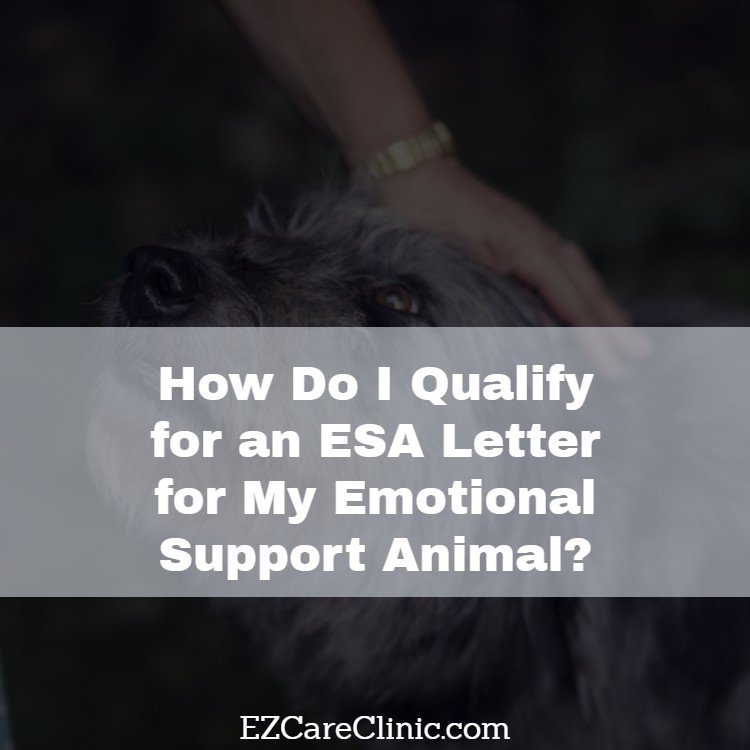 How Do I Qualify for an ESA Letter for My Emotional Support Animal