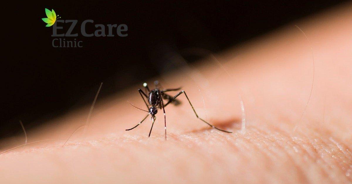 Zika Virus Treatment at EzCare Clinic