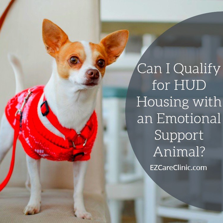 Can I Qualify for HUD Housing with an Emotional Support Animal?