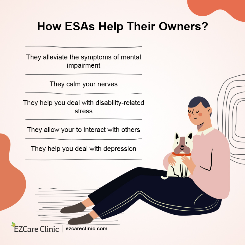 emotional support