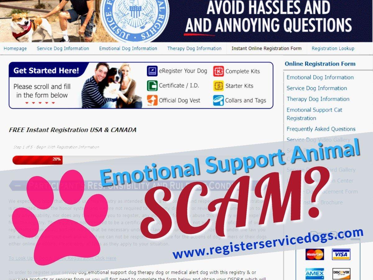 officialservicedogregistry.com Emotional Support Animal Scam