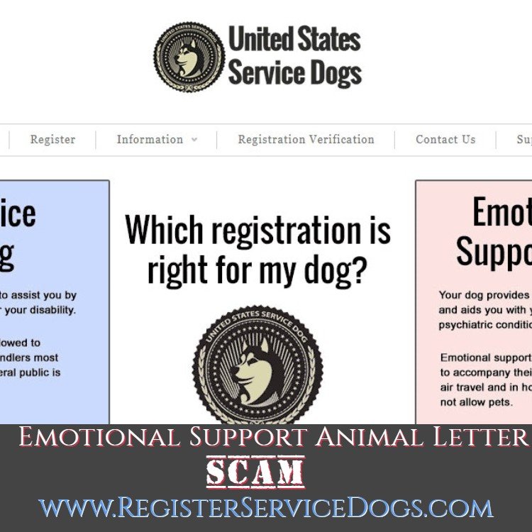 RegisterServiceDogs Reviews