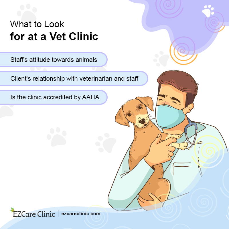 How To Find the Best Veterinarian Near Me - EzCare Medical Clinic