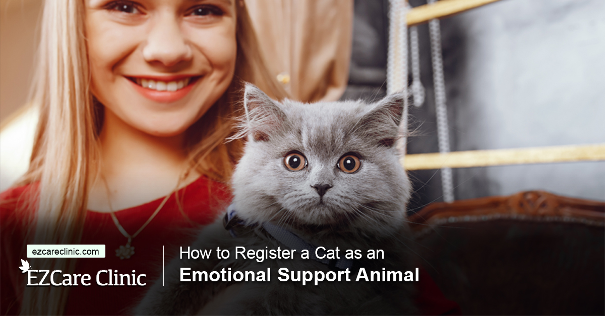 How to Register a Cat as an Emotional Support Animal - EZCare Clinic