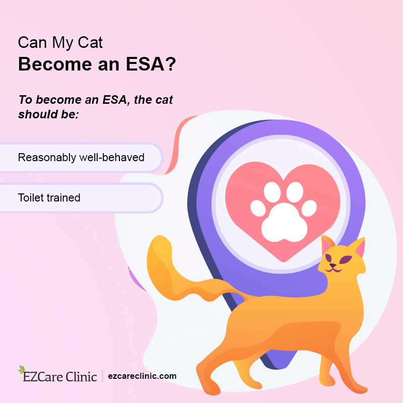 How to Register a Cat as an Emotional Support Animal - EZCare Clinic