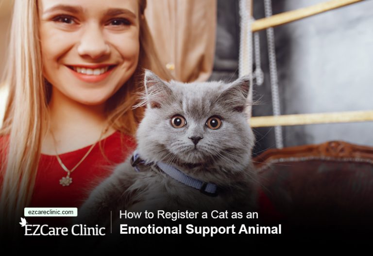 How to Register a Cat as an Emotional Support Animal EZCare Clinic