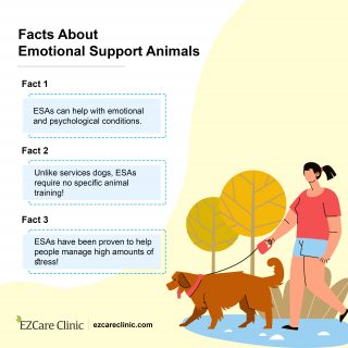 Emotional support animal facts