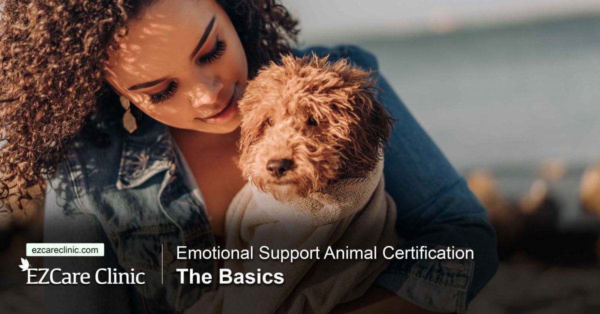 Emotional Support Animal Certification