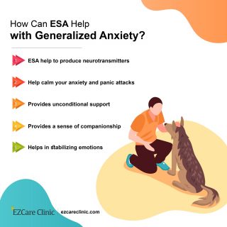 How ESA helps with anxiety?