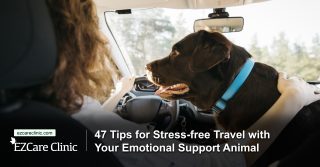 tips to travel stress free with your ESA