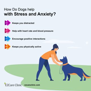 How dogs help with stress and anxiety