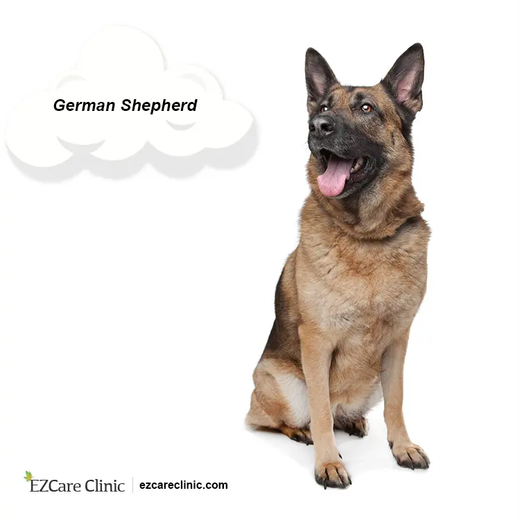 are german shepherds good emotional support dogs