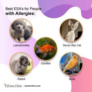 Best pets for allergic people