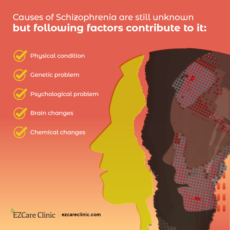Schizophrenia causes