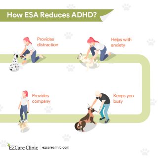 ESA and ADHD