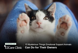Emotional support animal