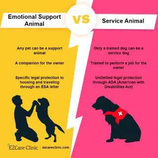 what is the difference between an esa and a service dog