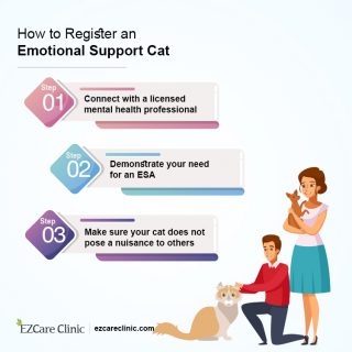Registration of an emotional support cat
