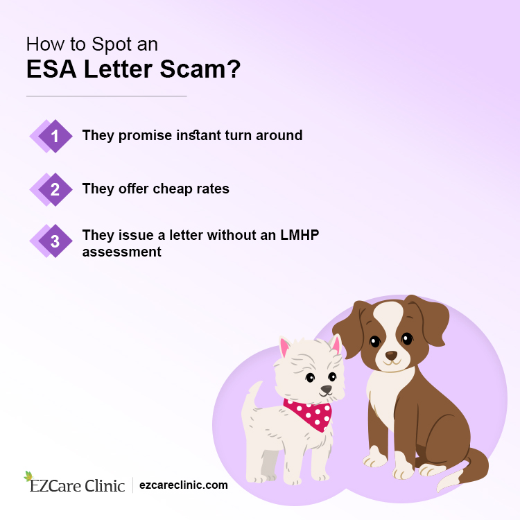 Beware of Fake Emotional Support Animals MEDvidi(01)