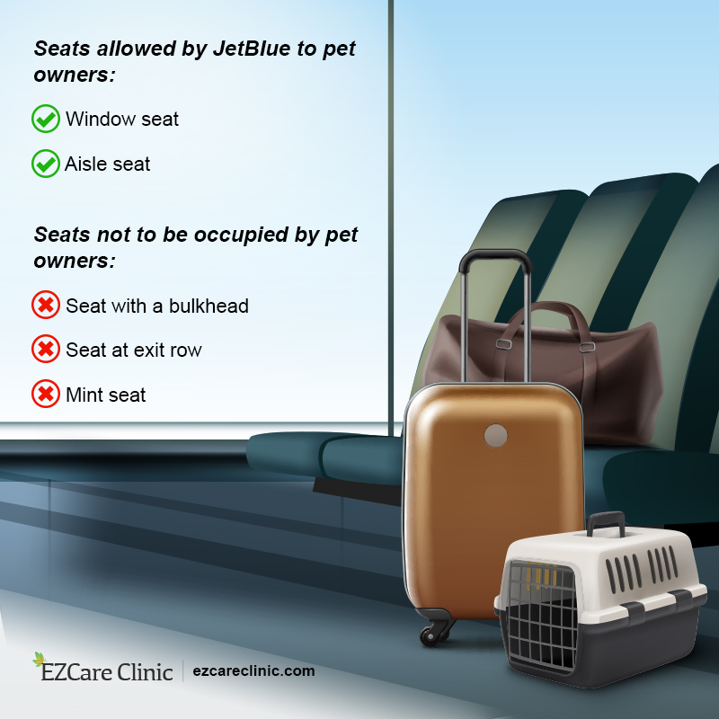 A Complete Guide to JetBlue Pet Policy - EZCare Clinic