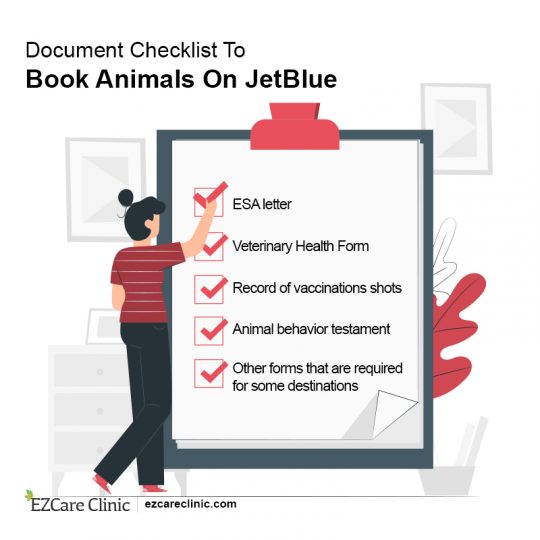 A Complete Guide to JetBlue Pet Policy EZCare Clinic