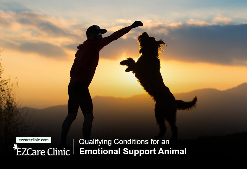 Qualifying Conditions for an Emotional Support Animal