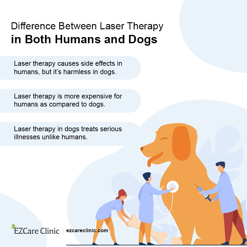 how-often-should-my-dog-get-laser-therapy