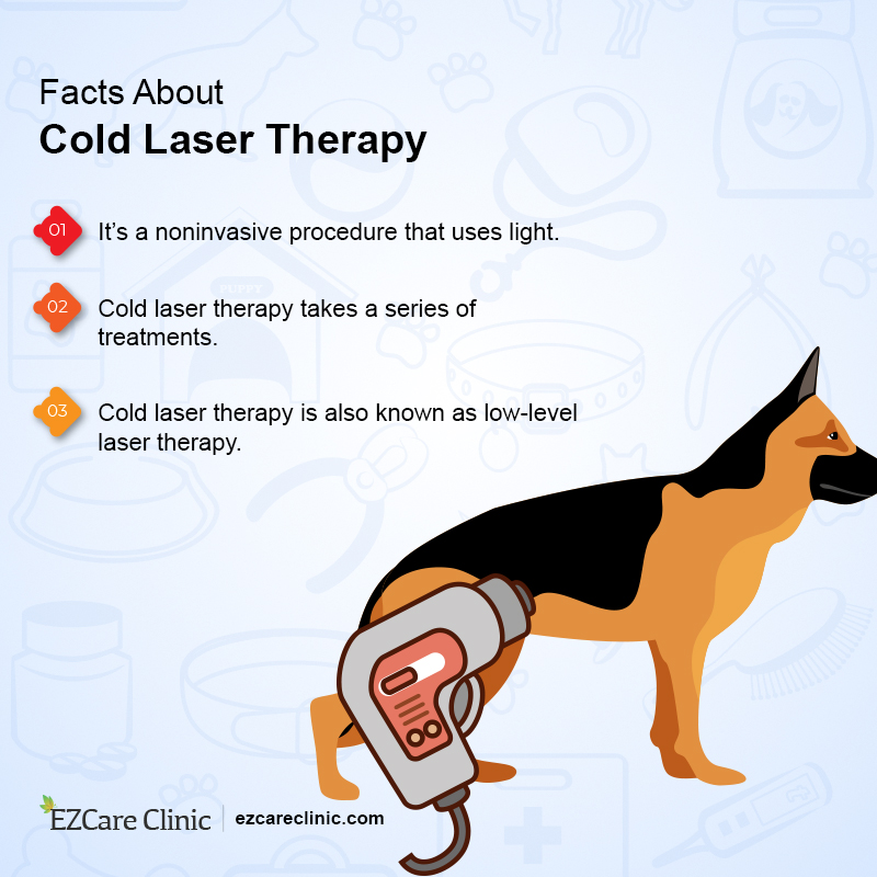 How Often Should My Dog Get Laser Therapy