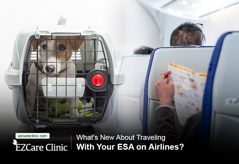 What's New About Traveling With Your ESA on Airlines?
