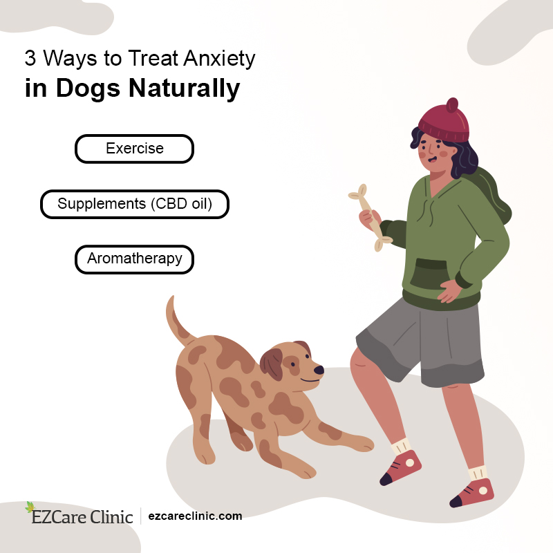 natural anxiety remedies for dogs