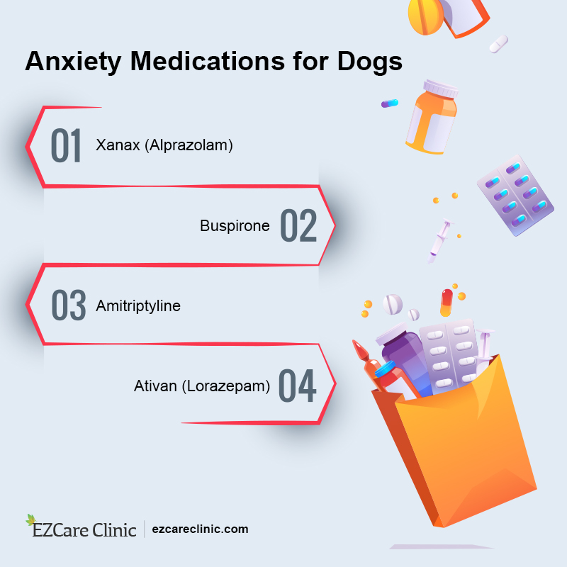 dog anxiety medication