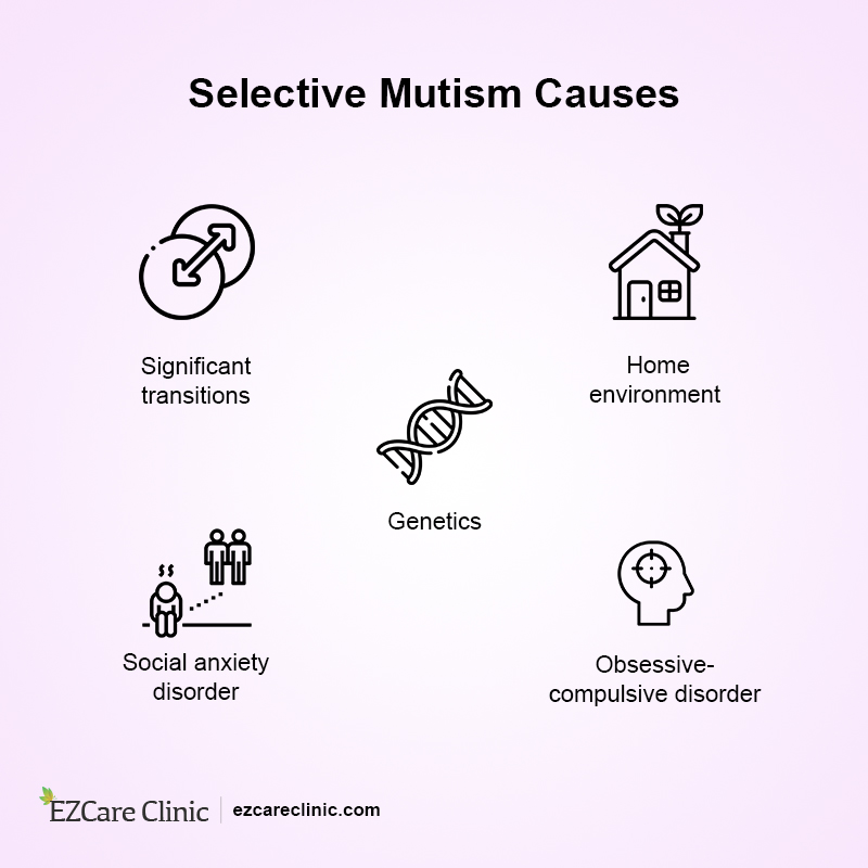 Selective Mutism Causes 